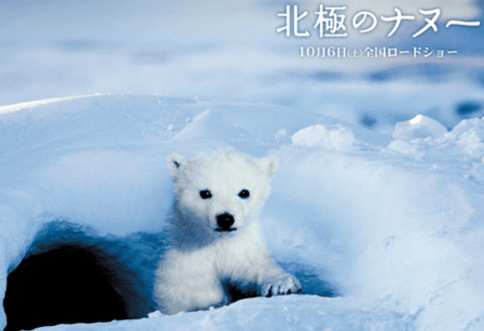 北極のナヌー